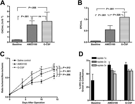 Figure 5. AMD3100 and G-CSF mobilize CACs and EPCs. Peripheral blood was collected prior to treatment (baseline), 4 hours after AMD3100, or after 5 days of G-CSF treatment, and the number of (A) CACs and (B) EPCs was quantified (baseline, n = 10; AMD3100, n = 12; G-CSF, n = 7) (C) CACs were harvested from cultures of AMD3100- or G-CSF–mobilized blood MNCs and transplanted (400 000 cells) into NOD/SCID β2M mice 24 hours after induction of hind-limb ischemia. Shown is the ratio of blood flow in the ischemic versus nonischemic hind limb (G-CSF, n = 7; AMD3100, n = 12; control, n=10) (*P < .01, **P < .05, †P < .001 compared with control). (D) Individual EPC colonies from 4 donors were harvested on days 21 to 28 of culture and serially replated. Wells in which colonies grew to confluence were considered positive. Data represent mean ± SEM.