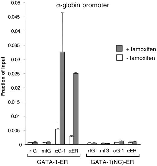 Figure 2. GATA-1(NC)–ER fails to bind GATA-1 target genes in vivo. ChIP assay using anti–GATA-1 (αG-1) and anti-ER (αER) antibodies and control rat and mouse IgG (rIG and mIG). Error bars indicate SD.