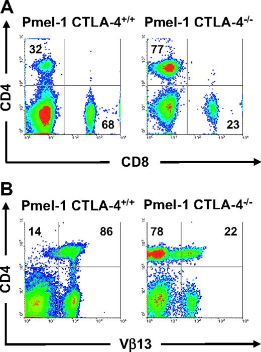 Figure 4. Lack of CTLA-4 expression in pmel-1 CTLA-4–/– mice results in dysregulation of CD4+ T cells. (A) CD4+ T-cell population is overrepresented in pmel-1 CTLA-4–/– mice. Flow cytometry for CD4 and CD8 expression on splenocytes from pmel-1 CTLA+/+ and pmel-1 CTLA-4–/– mice. Results are shown after lymphocyte gating and are representative of 2 independent experiments. (B) Lack of CTLA-4 expression in pmel-1 CTLA-4–/– results in dysregulation of the CD4+ TCR repertoire. Flow cytometry for CD4 and Vβ13 expression on splenocytes from pmel-1 CTLA+/+ and pmel-1 CTLA-4–/– mice. Results are shown after lymphocyte gating.