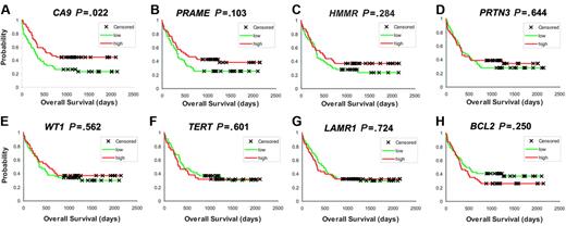 Figure 1. TAA expression in AML determined by DNA microarray–based gene expression profiling. (A-H) Kaplan Meier analyses based on G250/CA9, PRAME, RHAMM/HMMR, WT1, TERT, PRTN3, BCL2, and LAMR1 expression levels (P values are indicated; expression values have been dichotomized by the median with higher expression levels color-coded in red and lower levels in green).