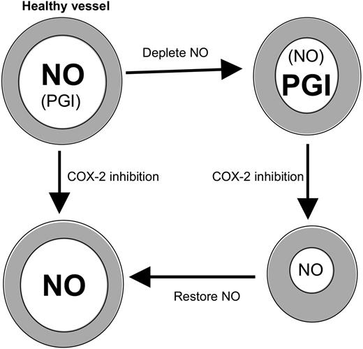 Figure 3. COX-2 inhibition potentiates vasoconstriction in the absence of NO. Healthy large vessels maintain tone predominantly using NO. If NO is depleted, COX-2–derived prostanoids (eg, PGI) compensate. Then, inhibition of COX-2 leads to constriction because PGI synthesis is blocked and may predispose to cardiovascular side effects. Repletion with NO prevents the increase in tone mediated by COX-2 blockade.