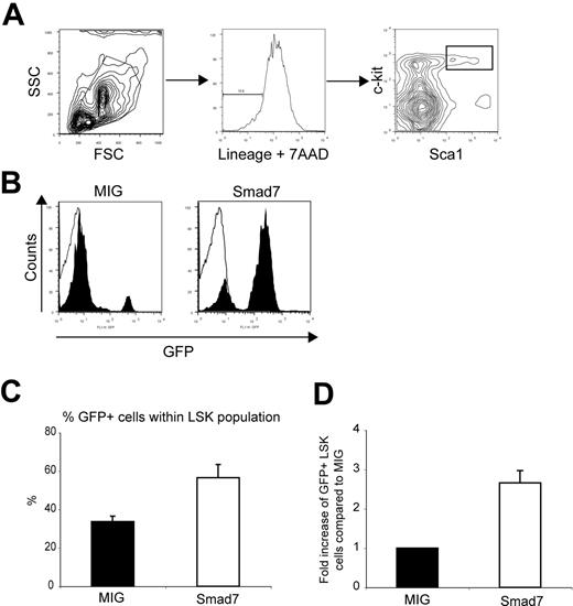 Figure 3. Increased numbers of GFP+ LSK cells in primary recipients of Smad7-transduced cells. (A) FACS analysis of BM from primary recipients at 16 to 18 weeks after BM transplantation. Lineage- and 7AAD-positive cells were excluded and Sca1/c-kit-positive cells selected by gating. SSC indicates side scatter; FSC, forward scatter. (B) Histogram showing the GFP contribution within the LSK population from representative recipients of MIG and Smad7 cells, respectively. Filled bars indicate MIG; open bars, Smad7. (C) Average percentage of GFP+ cells within the LSK population: MIG, 33.7% ± 2.85%; Smad7, 56.5% ± 6.85 (P = .03 as analyzed by paired t test). (D) Fold increase of absolute numbers of GFP+ LSK cells/femur compared with MIG. Fold increase is 2.7 (P = .04 as analyzed by paired t test). Data represent mean values from 4 independent experiments ± SEM.