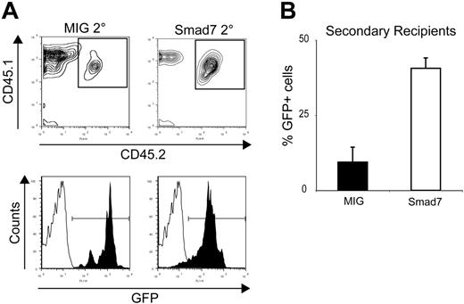 Figure 4. Smad7-overexpressing cells show increased repopulative capacity upon secondary transplantation. (A) FACS analysis of PB from secondary recipients 12 to 14 weeks after BM transplantation. The top panel shows Ly5.1/Ly5.2 analysis and the bottom panel shows GFP within the Ly5.1/5.2 population. Filled bars indicate MIG; open bars, Smad7. (B) Average percentage of total GFP+ cells in PB of secondary recipients 12 to 14 weeks after BM transplantation: MIG, 9.40% ± 4.95%; Smad7, 40.6% ± 3.45% (P = .003). All mean values are from 4 independent transductions ± SEM; a total of 78 secondary recipients were used.