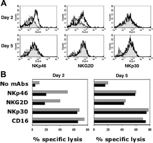Figure 4. The effect of l-kynurenine on NK cells is transient. Freshly isolated NK cells were cultured in the presence of IL-2 either alone or in combination with l-kynurenine. At day 2, cells from both culture conditions were harvested, washed, and cultured for a further 3 days in medium containing IL-2 alone. At days 2 and 5, the cells were analyzed for the expression and function of the NKp46-, NKG2D-, and NKp30-triggering receptors. (A) NK cells were assessed by immunofluorescence and flow cytometry analysis for the surface expression of the indicated receptors. Gray profiles indicate cells that have been cultured in the presence of l-kynurenine (0.5 mM) for the first 2 days; white profiles, cells that have never been treated with l-kynurenine. (B) NK cells were analyzed for cytolytic activity against the P815 target cell line either in the absence of mAbs or in the presence of the mAbs to the indicated receptors. ▦ indicate untreated NK cells; ▪, NK cells that have been cultured in the presence of l-kynurenine (0.3 mM) for the first 2 days. (E/T ratio: 2:1.)
