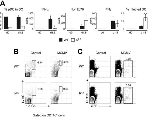 Figure 3. Antiviral response to MCMV infection. (A) Animals were injected intraperitoneally with GFP-recombinant MCMV. At 1.5 days after challenge, the frequencies of pDCs and MCMV-infected DCs were measured in the spleen, and cytokines were titrated in the serum. *P = .005; **P = .001. (B) Distribution of pDCs (Ly-6C+ 120G8+) in WT and IkL/L spleens following infection. Contour plots are gated on CD11c+ cells. Numbers indicate percentage of gated cells in each plot. (C) Proportion of GFP+ WT and IkL/L spleen cells after infection. Results shown are representative of 5 experiments, each with 3 to 12 mice per group. Means and SDs are shown for 1 representative experiment.