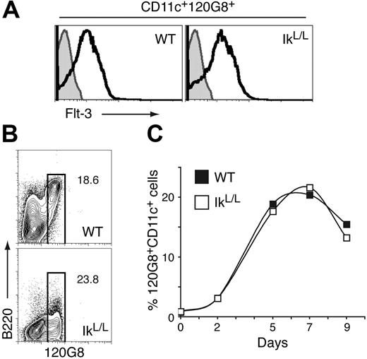 Figure 5. IkL/L pDC precursors respond to Flt-3 signaling. (A) 120G8+ BM cells were analyzed for Flt-3 expression. The pDC population is indicated by the white histograms. Gray histograms indicate the isotype controls. Results are representative of 5 experiments. (B-C) Unfractionated BM cells were cultured with Flt-3L over a 9-day period. (B) Contour plots show B220 and 120G8 expression of CD11c+ cells after 7 days of culture. (C) Graph shows the percentage of 120G8+ cells among total cells for the indicated number of days. One representative experiment of 5 is shown.