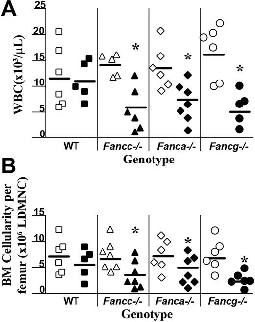 Figure 2. Effects of in vivo IFN-γ treatment on peripheral white blood cell (WBC) counts and bone marrow cellularity. (A) Peripheral nucleated cell counts were obtained from experimental mice following completion of IFN-γ treatment (closed symbols) or the phosphate-buffered saline vehicle, PBS (open symbols). Each symbol represents total nucleated white blood cells from individual mice. Bars represent the mean WBC count of all experimental mice in the respective treatment group. *P < .01 comparing white blood cell counts of IFN-γ–treated mice to vehicle-treated control mice with the same genotype. (B) BM cellularity following IFN-γ treatment. Symbols represent bone marrow cellularity of individual mice. Bars represent the mean BM cellularity of all mice in the experimental group. *P < .01 comparing bone marrow cellularity of IFN-γ–treated mice versus vehicle-treated controls of the same genotype.
