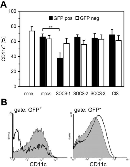 Figure 6. SOCS-1 inhibits DC differentiation. (A) Murine bone marrow cells were forced to overexpress SOCS-1, SOCS-2, SOCS-3, or CIS by means of retroviral transfer of SOCS/GFP bicistronic constructs on days 1, 2, and 3 of the differentiation period. Cells were differentiated with GM-CSF for a total of 9 days and then analyzed for expression of CD11c by FACS either in the GFP-positive, transfected population or in the GFP-negative control population (mean+SD, n = 6, **P < .01). (B) FACS analysis of CD11c expression of one typical experiment from panel A either on mock (filled) or SOCS-1–transfected cells (open). Shown are overlay graphs for GFP-positive, transfected cells and GFP-negative control cells within one experiment.
