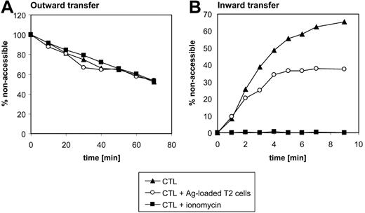 Figure 5. Outward and inward transport of NBD-PS in Melan-A–specific CTLs. (A) Melan-A–specific CTLs were intracellularly loaded with NBD-PS, washed, and then incubated at 37°C in complete medium in the absence (▴) or presence (○) of Ag-loaded T2 cells at a CTL/T2 ratio of 3:1. Alternatively, CTLs were stimulated with ionomycin (▪). To trap NBD lipids appearing on the cell surface, incubation was performed in the presence of 1% HSA. Aliquots of cells were removed at various time points and analyzed by flow cytometry after addition of 10 mM dithionite to reduce the NBD moiety of analogues in the medium. Only PI– CTLs were included for analysis. Relative NBD-PS fluorescence intensities at the start of the experiment were about 2400 arbitrary units. Shown are representative data of 3 independent experiments. (B) Ag-specific CTLs were stimulated with T2 cells (37°C for 45 minutes, ○) or 5 μM ionomycin (37°C for 15 minutes, ▪), or left untreated (▴), labeled with NBD-PS on ice, and incubated at 37°C to allow PS inward transfer. At times indicated, the fraction of internalized label was determined (in gated CD8+ PI–) CTLs by flow cytometry using back-exchange to HSA and treatment with dithionite as described in “Materials and methods.” The relative fluorescence protected against dithionite is shown for one representative experiment of 3. In panels A and B the percentage of nonaccessible fluorescence was normalized to fluorescence at time point zero. The absolute values of nonaccessible fluorescence at time point zero ranged from 10% to 20%.