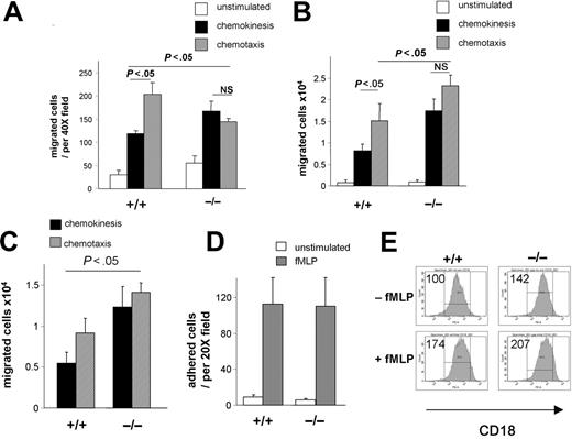 Figure 3. CDC42GAP regulates both random movement and directed migration. (A) Neutrophil migration using the Boyden chamber. Migration was evaluated without stimulation, in uniform concentration, or in a gradient of 1 μM fMLP to measure chemokinesis or chemotaxis, respectively. The histogram represents the number of migrated neutrophils per field, mean ± SD; representative experiment in triplicate of 3 independent experiments is shown. (B) Neutrophil migration using transwells coated with fibrinogen. Migration was evaluated without fMLP or in uniform concentration or in a gradient of 10 μM fMLP. The histogram represents the total number of migrated neutrophils recovered from the bottom well, mean ± SD; representative experiment in triplicate from 3 independent experiments is shown (n = 9). (C) Neutrophil migration was evaluated using transendothelial migration across HUVECs in uniform concentration or in a gradient of 10 μM fMLP. The histogram represents the total number of migrated neutrophils recovered from the bottom well, mean ± SD; representative experiment in triplicate from 3 independent experiments is shown. (D) Adhesion to fibrinogen. Neutrophils were allowed to adhere to fibrinogen for 30 minutes in the absence or in the presence of 10 μM fMLP. Histogram represents the number of adherent cells counted per field, mean ± SD; representative experiment in triplicate of 3 independent experiments is shown. (E) β-2 integrin expression as assessed by flow cytometry before and after stimulation with 10 μM fMLP. The numbers indicate the relative median channel fluorescence.