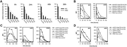 Figure 5. Impact of regulatory components located 3′ of the coding region on transcript stability and protein yield in dendritic cells and cell lines. (A) Influence of poly(A) tail length on transcript stability in iDCs and mDCs. Cells were electroporated with equal amounts of d2eGFP-encoding IVT RNA species, which differed in the lengths of their poly(A) tails. Cells were harvested after 6 hours, 24 hours, 48 hours, and 96 hours, and eGFP transcript levels were quantified by real-time RT-PCR. Cells electroporated without RNA served as controls. For each time point, the transcript levels (+SEM) are shown relative to expression levels obtained for d2eGFP-2β-globinUTR-A(120) in iDCs. (B) Flow cytometric analysis of protein levels in the same cells used in the experiment described in panel A, which were transfected with the short-lived d2eGFP variant as reporter molecule. (C) Cells were transfected with eGFP-encoding IVT RNA variants differing in the lengths of their poly(A) tails. RNase-digested RNA and untailed RNA served as controls. Cells were harvested after 6 hours, 24 hours, 48 hours, 72 hours, 96 hours, 144 hours, and 192 hours, and eGFP fluorescence of viable cells was measured by flow cytometry. (D) Influence of the 3′ untranslated region (UTR) on translational efficiency. Immature and mature dendritic cells were electroporated with eGFP RNA variants differing in their 3′ UTR. Cells were harvested after 6 hours, 24 hours, 48 hours, 72 hours, 96 hours, 144 hours, 168 hours, or 218 hours, and the eGFP fluorescence of viable cells was measured by flow cytometry.