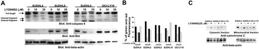 Figure 4. LY294002-induced activation of the mitochondrial apoptotic pathway in DLBCL cell lines. (A) LY294002-induced activation of caspase-8 and cleavage of BID. SUDHL-4, SUDHL-5, SUDHL-8, and OCI-LY19 cells were treated with 10 and 25 μM LY294002 for 24 hours. Cells were lysed and equal amounts of proteins were separated by SDS-PAGE, transferred to Immobilon membrane, and immunoblotted with antibodies against caspase-8, BID, and actin as indicated. (B) Loss of mitochondrial membrane potential by LY294002 treatment in DLBCL cells. SUDHL-4, SUDHL-5, SUDHL-8, SUDHL10, and OCI-LY19 cells were treated with and without 25 μM LY294002 for 24 hours. Live cells with intact mitochondrial membrane potential (▪) and dead cells with lost mitochondrial membrane potential (▦) were measured by JC-1 staining and analyzed by flow cytometry as described in “Patients, materials, and methods.” (C) LY294002-induced release of cytochrome c. SUDHL-4, SUDHL-5, and OCI-LY19 cell lines were treated with and without 25 μM LY294002 for 24 hours. Mitochondrial-free cytoplasmic as well as mitochondrial fractions were isolated as described in “Patients, materials, and methods.” Cell extracts were separated on SDS-PAGE, transferred to PVDF membrane, and immunoblotted with antibodies against cytochrome c and actin as indicated.