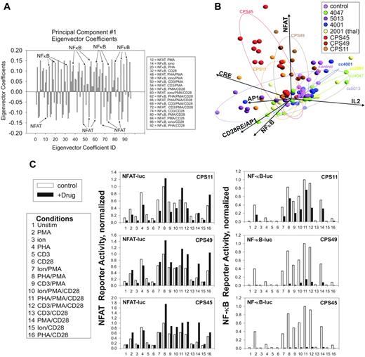 Figure 2. Preferential pattern of NFAT and NF-κB transcriptional pathway targeting by CPS11, CPS45, and CPS49. (A) Plotting of the magnitude (y-axis) of the Eigenvector coefficients (x-axis) derived from PC1 reveals strong anticorrelated contribution from NF-κB and NFAT pathways. (B) PCA of the drug influence on each of the 16 mitogen-induced transcriptional responses mapped by biplot analysis.12 Ellipses enclose 2 SDs from the mean effect of each drug group. (C) Histogram analysis of the drug-influenced NFAT and NF-κB reporter activity. Stimulation conditions are indicated by number assignment in the key. Results are representative of triplicate determinations. The average percentage of error for the transfections was 6.6%.