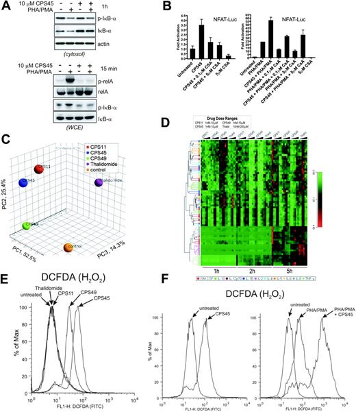 Figure 3. CPS11, CPS45, and CPS49 thalidomide analogs inhibit NF-κB, activate NFAT, and repress cytokine expression through elevated ROS. (A) Top panel shows immunoblot of phospho-IκBα, IκBα, and actin in the cytosol of Jurkat cells stimulated with PHA/PMA for 1 hour in the presence or absence of 10 μM CPS45. Bottom panel shows immunoblot of phospho-IκBα,IκBα, phospho-RelA, and RelA in whole-cell extracts (WCE) of Jurkat cells preincubated for 15 minutes with 10 μM CPS45 prior to stimulation with PHA/PMA for 15 minutes. (B) CPS45 (10 μM) stimulation of NFAT-mediated transactivation alone or in the presence of PHA/PMA, cyclosporin A, or both combined. Data are an average of triplicate measurements and each is representative of at least 2 independent experiments. Error bars indicate standard error of the mean (SEM). (C) PCA of the dose- and time-dependent influence of thalidomide, CPS11, CPS45, and CPS49 on mitogen-induced secretion of GM-CSF, IL-1β, IL-2, IL-4, IL-5, IL-6, IL-8, IL-10, IL-12p70, and TNF-α in Jurkat cells (mitogen list is in Figure 1B). (D) Hierarchical clustering comparison of the dose- and time-dependent influence of thalidomide, CPS11, CPS45, and CPS49 on the mitogen-induced cytokine secretion pattern of Jurkat cells. (E) FACS profile of cells loaded with the oxidation-sensitive dye DCFDA and treated with either 10 μM thalidomide, CPS11, CPS45, or CPS49 for 60 minutes. Percentages of maximum cell counts are plotted against fluorescence intensity. (F) FACS profile of the levels of ROS generated after 45 minutes of treatment with 10 μM CPS45 (left panel) compared with cells treated with PHA/PMA alone or PHA/PMA and CPS45 combined (right panel).