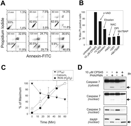 Figure 4. CPS45 induces rapid caspase-independent cell death reversed by antioxidants. (A) FACS measurement of 10 μM CPS45–induced cell death by annexin and PI staining after 0 to 3 hours of drug exposure. Percentages indicate percentage of cells in the respective quadrants. (B) FACS analysis of the reversal of cell killing by the broad-spectrum caspase inhibitor z-VAD (200 μM), 5 μM ebselen, 20 mM NAC, 10 μM DPI, or 50 μM MnTBAP. Changes are shown as a percentage of maximum PI-positive cells in the presence of 10 μM CPS45 alone. (C) Kinetic profile of ROS generation, intracellular calcium elevation, and loss of mitochondrial membrane potential at 15-minute intervals during 1 hour of treatment with 10 μM CPS45. Data represents means of triplicate determinations normalized to the percentage of maximum. (D) Immunoblot analysis of caspase 7 (nuclear and cytosolic), caspase 3 (nuclear), and PARP (nuclear) cleavage in PHA/PMA-stimulated Jurkat cells untreated or treated for 8 hours with 10 μM CPS45. Arrows indicate activated caspase cleavage products.