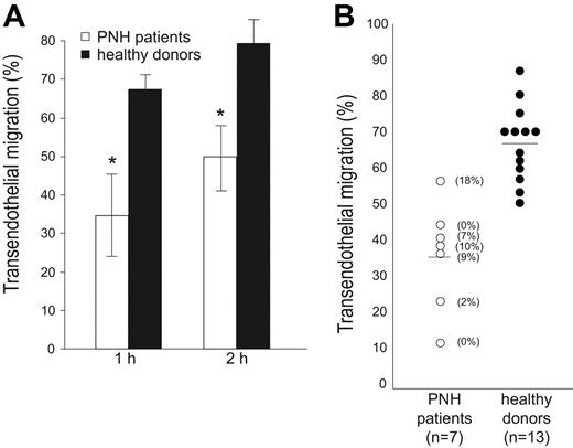 Figure 3. PMNs from patients with PNH exhibit an impaired transendothelial migration. (A) PMNs were seeded on HUVEC monolayers grown on fibronectin-coated transwell filters. Migration is shown in the presence of a 10-nM fMLP transwell gradient. Transmigration assays of PMNs from patients with PNH (□) and from healthy donors (▪) were run in parallel and the percentage of transmigrated cells was evaluated after 1 and 2 hours. Data are expressed as the mean ± SD of 4 separate experiments. *P < .001. (B) Summary of the results of transendothelial migration of neutrophils from 7 patients with PNH (○) analyzed in parallel with 13 healthy donors (•). The percentage of transmigrated cells in the presence of a 10-nM fMLP transwell gradient was evaluated after 1 hour. The number enclosed in parentheses indicates the percentage of CD157+ PMNs. Horizontal bars indicate the mean value of transmigration.