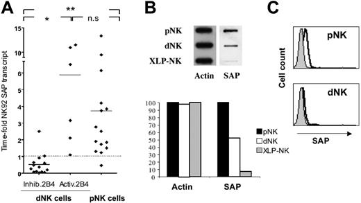 Figure 6. Analysis of SAP expression in dNK cells. (A) Analysis of SAP mRNA transcript in dNK and pNK cell clones. Total RNA, extracted from dNK and pNK cell clones and converted in cDNA, was subjected to TaqMan-PCR analysis to assay the quantity of SAP mRNA. All values have been normalized to GAPDH transcript and the quantitative PCR (Q-PCR) data are represented as time-fold the normalized SAP transcript detected in the NK92 cell line (used as reference cell line and therefore indicated as 1). Each spot is the mean of 2 independent experiments of Q-PCR analysis performed in triplicates. Statistical analysis of data sets was annotated as follows: *P = .01; **P < .01; and n.s., not significant. (B) Postnuclear cell lysates derived from 1 × 106 dNK, pNK, and XLP-NK cells were spotted on nitrocellulose using a slot-blot system. Membranes were probed with rabbit antisera specific for either actin or SAP. Membranes were then scanned and densitometric analysis of the bands was performed. Densities of actin and SAP in dNK and XLP-NK cells are expressed as percentage of control pNK cells. Data are representative of 3 independent experiments. (C) FACS analysis of SAP expression. Permeabilized rIL-2–cultured XLP-NK, dNK, and pNK cells were stained with the SAP-specific rabbit antiserum. Gray profiles represent negative controls (ie, the antiserum background detected in SAP-deficient XLP-NK cells).