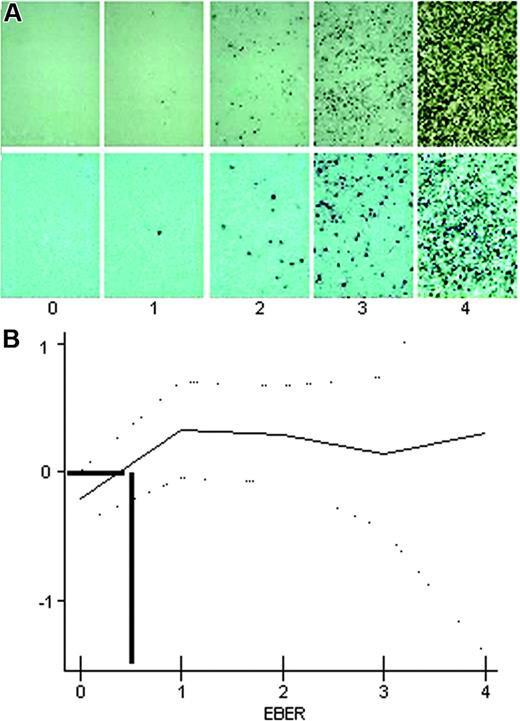 Figure 1. Estimation of EBER expression level with spline curve. (A) Four-level semiquantitative estimation of different levels of EBER expression, quoted from 0 (EBER-ISH negative) to 4. Examples are shown at original magnification ×100 (top row) and ×200 (bottom row). Images were captured with a Zeiss Axioskop2 microscope (Zeiss, Oberkochen, Germany) and Neofluar 100×/0.1 NA optical lenses (Zeiss). Photographs were taken with a DP70 Olympus camera (Olympus, Tokyo, Japan). Image acquisition was performed with Olympus DP Controller 2002, and images were processed with Adobe Photoshop v7.0 (Adobe Systems, San Jose, CA). (B) The spline curve shows how the relative risk of death changes with the level of EBER positivity. The dotted lines show the 95% confidence interval. Bold lines show the best cut-off point.