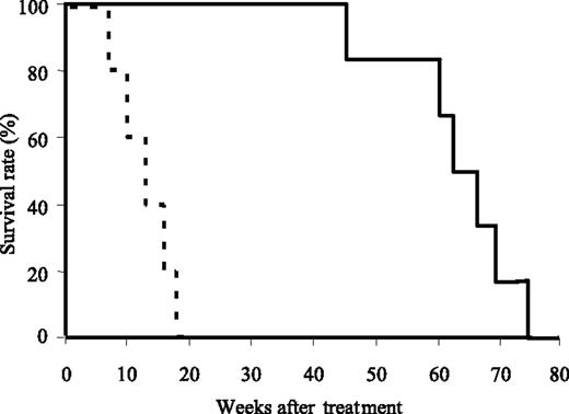 Figure 8. As2O3 dramatically prolongs survival of MRL/lpr mice. Starting at 2 months of age, MRL/lpr mice (15/group) were treated daily with As2O3 (5 μg/g) (solid line) or PBS (dotted line) and monitored to establish mortality rates.