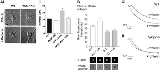 Figure 7. VASP mediates PKCδ-dependent regulation of filopodia formation, actin polymerization, and platelet aggregation. (A) Washed platelets from either wild-type (WT) or VASP–/– (KO) mice were preincubated with rottlerin (5 μM) or vehicle as control. Platelets were then dispensed onto collagen-coated coverslips and their adhesion and spreading studied by DIC microscopy. (i) An example of platelets 40 minutes after addition to the coverslip, representative of 3 independent experiments. (ii) The perimeter of adherent platelets in the different experimental conditions was measured 40 minutes after dispensing of platelets onto the surface. Data shown are mean ± SEM (n = 4), and the statistical significance was analyzed by 1-way ANOVA (*P < .01, comparison between data in the absence or presence of rottlerin). (B) Washed platelets derived from either wild-type (WT) or VASP–/– mice were allowed to adhere to collagen-coated coverslips in the absence or presence of rottlerin (5 μM, 15 minutes of preincubation). Platelets were fixed 40 minutes after addition to the coated surfaces, permeabilized, and stained with TRITC-phalloidin. Fluorescence labeling was detected by confocal microscopy and quantified using Leica Confocal Software. Data represent mean ± SEM (n = 3), and the statistical significance of difference was analyzed by 1-way ANOVA (*P < .01, comparison between results in the absence or presence of rottlerin). Images below the graphs show representative examples of platelets obtained under the same conditions indicated in the bar graph and stained with TRITC-phalloidin (top row), with corresponding phase-contrast images (bottom row). (C) Washed platelets were prepared from (i) wild-type (WT) or (ii) VASP–/– (KO) mice and pretreated either with rottlerin (5 μM) for 15 minutes or DMSO vehicle as control. Platelet aggregation was induced with collagen (30 μg/mL) and monitored by turbidimetric aggregometry over a 10-minute period. Traces shown are representative of 3 independent experiments.