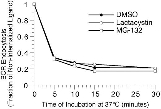 Figure 4. Proteasome inhibition fails to alter the kinetics of BCR-mediated antigen internalization. Splenic B cells were pretreated with the indicated proteasome inhibitor for 1 hour at 37°C, before analyzing the BCR-mediated internalization of bound ligand by flow cytometry, as described in “Materials and methods.” The results demonstrate that inhibition of proteasome activity fails to alter the kinetics of BCR-mediated antigen internalization, even though the treatment resulted in the accumulation of high-molecular-mass ubiquitinated proteins (Figure 2). Shown are representative results from 1 of 4 independent experiments (4 investigating the effect of MG-132 on BCR internalization, and 2 analyzing the effect of lactacystin treatment on BCR internalization).