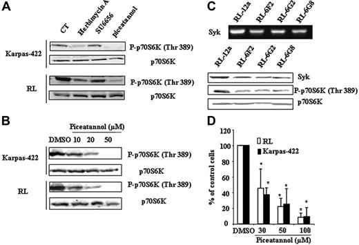 Figure 2. Implication of Syk in mTOR activity in FL cells. (A) Karpas-422 and RL cells were treated or not with herbimycin A (0.5 μg/mL), SU6656 (1 μM), or piceatannol (50 μM) for 2 hours, then p70S6K phosphorylation was evaluated by Western blotting. p70S6K was used as control of protein expression. CT corresponds to untreated FL cells and results are representative of 3 independent experiments. (B) FL cells were treated or not with piceatannol at various doses for 2 hours, and mTOR activity was then evaluated by immunoblotting using antiphospho-p70S6K antibody. p70S6K was used as control of protein expression. Results are representative of 3 independent experiments. (C) mTOR activity was evaluated on scramble (RL-12a) and Syk siRNA (RL-6G2, RL-6F2, and RL-6G8) stable transfected clones by Western blotting using antiphospho-p70S6K (Thr389) antibody. p70S6K was used as control of protein expression. Syk expression visualized by RT-PCR (left) and by Western blotting (right) was used as control for Syk depletion. (D) Clonogenicity of FL cell treated or not with piceatannol at various doses was observed after 7 days in methylcellulose medium as described in “Materials and methods.” Results are the mean ± SD of 3 independent experiments. *P < .01.