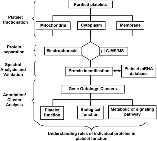 Figure 1. Schema outlining a general approach to platelet proteomic analysis. An ideal experiment generally incorporates platelet subfractionation methods with sophisticated mass spectrometric techniques and computational analyses to elucidate platelet biological functions.