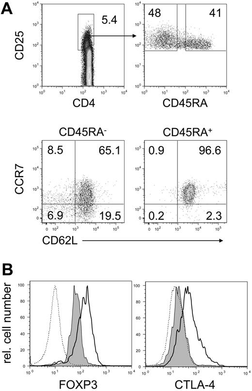 Figure 3. Phenotype of CD45RA+ and CD45RA– CD4+CD25high T cells in human adult peripheral blood. (A) Representative distribution of CD45RA expression among human CD4+CD25high T cells from leukapheresis products (top panels) and coexpression of CD62L and CCR7 on the respective subpopulations (bottom panels). (B) Expression of FOXP3 (left panel) and CTLA-4 (right panel) in CD45RA+ (shaded histograms) and CD45RA– (solid-line histograms) subsets of CD4+CD25high T cells. Dashed-line histograms represent expression levels of the respective markers in CD4+CD25– T cells. Numbers in dot plots indicate percent of cells within gates or quadrants.