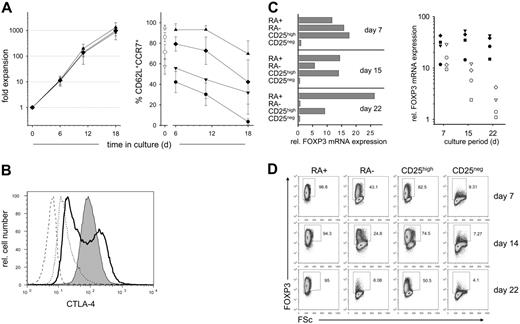Figure 4. Expansion rates and phenotypic characteristics of CD45RA+ and CD45RA– CD4+CD25high T cells in long-term cultures. (A) Expansion rates (left panel) and coexpression of CD62L and CCR7 (right panel) on in vitro–expanded CD4+CD25high T cells and sorted CD45RA+ and CD45RA– subsets thereof, respectively. Unseparated CD4+CD25high T cells (diamonds), or corresponding CD45RA+ (triangles) and CD45RA– (inverted triangles) subpopulations were FACS-sorted from leukapheresis products and expanded for up to 18 days. Open symbols in the right panel represent values for gated subpopulations in freshly isolated PBMCs (n = 6). Phenotypic analyses of cultured cells were performed at indicated time points during expansion (filled symbols). Phenotype of CD4+CD25– T cells within PBMCs or upon in vitro culture is shown for comparison (circles). Combined data from 10 independent cultures with cells from 8 different donors. Error bars represent SEM. (B) Intracellular CTLA-4 expression of CD45RA+ (shaded histogram) and CD45RA– CD4+CD25high T cells (bold solid line) or CD4+CD25– T cells (dashed line) after 2 weeks of in vitro expansion. Long dashed histogram represents isotype control. (C-D) FOXP3 mRNA (C) and protein expression (D) by sorted CD45RA+ (RA+) and CD45RA– (RA–) subpopulations or total CD4+CD25high (CD25high) and CD4+CD25– T cells (CD25neg) during in vitro expansion. (C) Total RNA was isolated from expanded cells on the days indicated. FOXP3 mRNA expression was determined by qRT-PCR and normalized to 18S rRNA. FOXP3 mRNA expression by sorted and 7-day expanded CD4+CD25– T cells was arbitrarily set to 1. One representative example (left panel) and combined data (right panel) for expanded CD45RA+ (filled symbols) and CD45RA– cells (open symbols) from 4 independent cultures are shown. (D) Cells were isolated on the days indicated, rested, and then stained for CD4, CD25, and FOXP3. Representative results from 1 of 3 independent experiments.