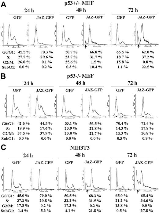 Figure 2. Expression of JAZ-GFP induces G1 cell-cycle arrest followed by apoptosis in a p53-dependent manner. JAZ-GFP/pEGFPN1 was transfected into p53+/+ (A) and p53–/– (B) MEFs and NIH3T3 cells (C). pEGFPN1 (GFP) alone was used as a control. At 24, 48, and 72 hours following transfection, cells were harvested, fixed by 1% formaldehyde at 4°C for 1 hour, permeabilized by 70% ethanol at 4°C overnight, and stained by propidium iodide followed by flow cytometry analysis as described.50 To normalize for transfection efficiency, only JAZ-GFP– or GFP-only–expressing cells were gated and then analyzed for a sub-G1 population and cell-cycle distribution. According to the program used here, the sub-G1 population represents the percentage of total gated (GFP or GFP positive) cells that are apoptotic, while the sum of the percentages of G1/G0, S, and G2/M is normalized to 100%. This is done in order to accurately compare the cell-cycle distribution of the viable cells expressing JAZ-GFP or GFP-only. The arrows indicate sub-G1 populations.