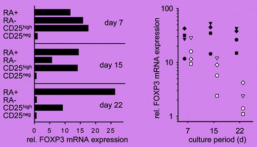 Only the CD45RA+ subset of CD4+CD25high human Treg cells maintains the expression of FOXP3 after expansion. See the complete figure in the article beginning on page 4260.