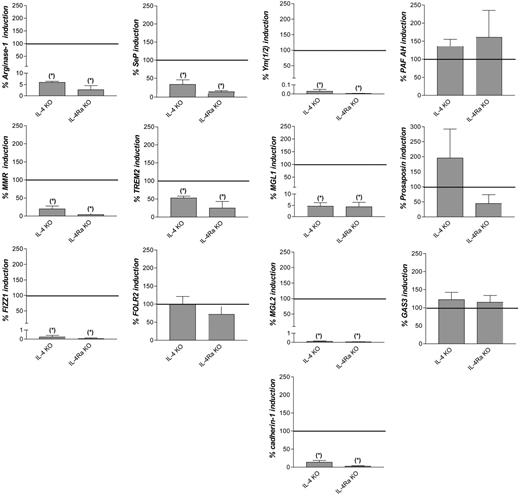 Figure 1. Contribution of IL-4 and IL-13 signaling to induction of common M2 marker genes during Taenia crassiceps infection. Fold induction of the genes in peritoneal macrophages from Taenia crassiceps–infected, IL-4–deficient (IL-4 KO) or IL-4Rα–deficient (IL-4Ra KO) BALB/c mice 32 days after infection compared with noninfected mice, expressed as percentage of the fold induction in wild-type mice. Gene expression was determined by reverse transcription followed by real-time quantitative PCR and was normalized for the housekeeping gene ribosomal protein S12. Values indicate the mean of at least 3 mice in each condition. Error bars indicate SEM. Data are shown for 1 representative experiment. *Significantly lower than in infected wild-type mice (P < .05).
