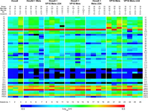 Figure 4. Hox and TALE gene expression in leukemia specimens. Expression of Hox and TALE genes in BM cells from leukemic mice as evaluated by absolute quantitative RT-PCR. Mice are grouped according to the inducing oncogene listed on the top. Morphologic classification group and expression levels of Mac-1 and c-Kit are provided for each mouse. CT values were normalized for 18S expression levels determined in 25 ng total RNA (CT = 9). CT values from all genes were then converted into copy numbers (cn) based on the formula cn = 2(38–ct). Visualization of expression levels was enhanced by color gradient based on a logarithmic scale of cn values.