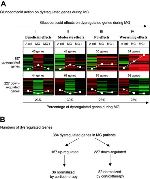 Figure 1. General effects of glucocorticoids on dysregulated genes during MG. (A) Eight K-median clustering analysis was applied to the median of ratios of the 3 comparisons: adult controls–reference (A ctrl), untreated MG patients–reference (MG), and treated MG patients–reference (MG-t) for the 384 dysregulated genes in MG extracted with SAM with an FDR less than 5% and an FC more than 1.8. The white circles represent average expression levels. (B) Numbers of dysregulated genes obtained in the microarray analysis data.