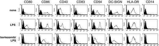 Figure 1. Effects of bortezomib on LPS-induced phenotypic changes in DCs. Adherent monocytes were cultured in the presence of GM-CSF and IL-4 for 6 days. Cells were then incubated in the presence or absence of 1 ng/mL bortezomib for 24 hours. LPS (100 ng/mL) was added during the last 16 hours where indicated in the figure. Afterward, cells were harvested, stained, and analyzed by flow cytometry. Matched isotype controls are presented as solid histograms.