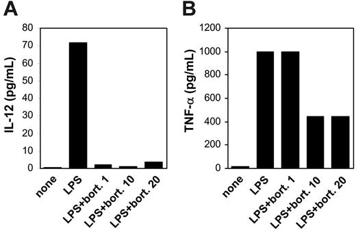 Figure 5. IL-12 and TNF-α secretion by DCs are modulated by bortezomib. (A-B) Adherent monocytes cultured in the presence of GM-CSF and IL-4 for 6 days were stimulated with or without bortezomib at the indicated concentrations (in ng/mL) for 24 hours. LPS (100 ng/mL) was added during the last 16 hours of incubation. Supernatants were subsequently collected, and IL-12 (A) and TNF-α (B) were determined by commercially available ELISAs.