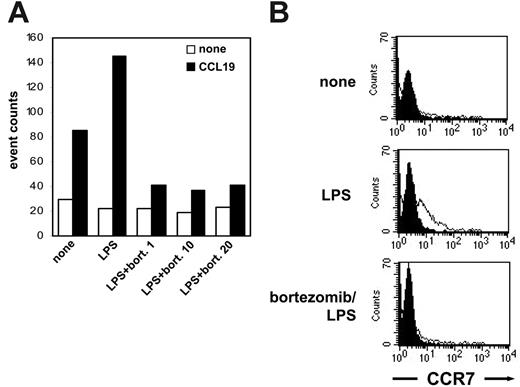 Figure 6. LPS-induced DC migration toward CCL19/MIP-3β is impaired by bortezomib. DCs were generated by incubating adherent monocytes with GM-CSF and IL-4. At day 6 of culture, cells were exposed for 24 hours to bortezomib at the indicated concentrations (in ng/mL). LPS (100 ng/mL) was added as a stimulus to the culture medium for the last 16 hours. DCs were then harvested and washed, and migration toward CCL19 was analyzed using transwell chambers. DCs (2 × 105) were seeded in the upper chamber in triplicates, and the number of migrated DCs was analyzed after 16 hours. (B) CCR7 expression was detected by flow cytometry on DCs generated from adherent monocytes as described in panel A. Cells were treated with or without bortezomib (1 ng/mL) for 24 hours and exposed to LPS (100 ng/mL) during the last 16 hours.