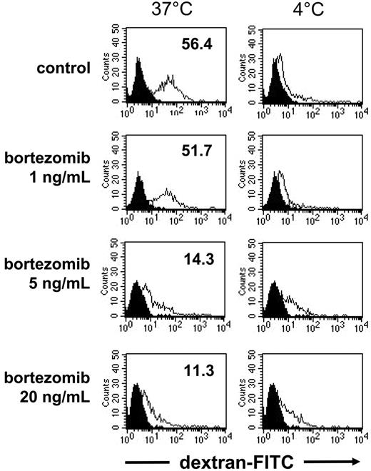 Figure 8. Treatment with bortezomib skews dextran uptake by DCs. (A) Adherent monocytes were incubated for 6 days in the presence of GM-CSF and IL-4. Cells were harvested and treated for 16 hours with bortezomib at the indicated concentrations. Thereafter, 2 × 105 DCs were incubated with FITC-dextran for 1 hour at 37°C or at 4°C, washed 4 times, and analyzed by flow cytometry. Open histograms represent FITC-dextran–treated cells; solid histograms, cells incubated in the absence of FITC-dextran. Mean fluorescence intensity of DCs labeled with FITC-dextran at 37°C is shown.