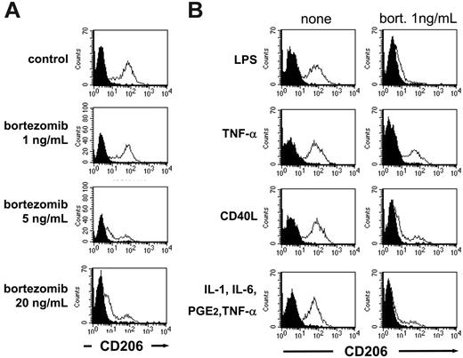 Figure 9. The mannose receptor CD206 is down-regulated in response to bortezomib. (A) DCs generated from adherent monocytes by a 6-day incubation in the presence of GM-CSF and IL-4 were stimulated for 24 hours with the indicated concentrations of bortezomib. Afterward, cells were washed, stained, and analyzed by flow cytometry. Solid histograms represent the matched isotype controls. (B) DCs generated from adherent monocytes by incubation with GM-CSF and IL-4 were exposed to 1 ng/mL bortezomib for 24 hours. LPS (100 ng/mL), TNF-α (20 ng/mL), CD40L (100 ng/mL), or a cocktail of IL-1 (2 ng/mL), IL-6 (100 ng/mL), PGE2 (1 μg/mL), and TNF-α (20 ng/mL) was present in the culture medium during the last 16 hours of incubation. Thereafter, cells were harvested, stained, and analyzed by flow cytometry.