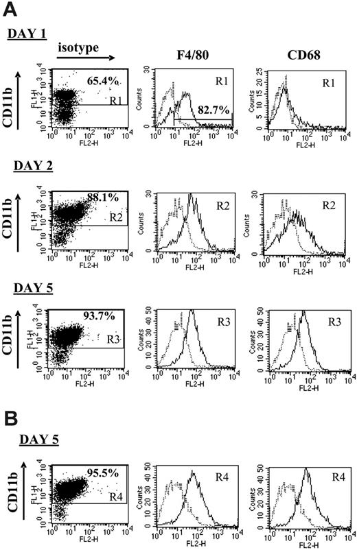 Figure 4. The CTL-suppressive adherent splenocyte population largely consists of mature macrophages. Splenocytes from either untreated (A) or anti–Gr-1–treated (B) 5- to 7-week BW-Sp3 progressors were restimulated in vitro with irradiated BW-Sp3(B7-1). After 1, 2, or 5 days of culture, nonadherent splenocytes were washed away and adherent cells were recovered. Each adherent cell population was incubated with FITC-labeled anti-CD11b, in combination with PE-labeled isotype control, anti-F4/80, anti-CD68, or anti-CD11c. Histograms represent isotype (dotted line) and surface Ag–specific (full line) staining within the gated CD11b+ population (gate R1, R2, R3 or R4, depending on the condition tested). One of 3 representative experiments is shown.