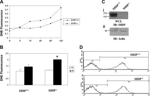 Figure 1. SHIP downregulates FcγR-induced superoxide production. (A) BMMs derived from SHIP+/+ and SHIP–/– mice were activated with heat-aggregated IgG for the time points indicated in the figure. Generation of superoxide was measured using 10 μM fluorescent probe DHE. DHE fluorescence intensity is plotted in the graph. (B) BMMs derived from SHIP+/+ and SHIP–/– mice were activated with heat-aggregated IgG for 2 hours. Generation of superoxide was measured using fluorescent probe DHE. Data represent mean and SEM of 4 independent experiments. Data were analyzed by Student t test. *P < .05. (C) Protein-matched whole-cell lysates (WCLs) were analyzed by Western blotting with SHIP antibody (i). The same membrane was reprobed with actin antibody (ii). IB indicates immunoblot. (D) Mac-1 expression on the SHIP+/+ and SHIP–/– BMMs was analyzed by flow cytometry. For this, the cells were labeled with APC-labeled Mac-1 antibody in the presence of the anti-FcγRII/III monoclonal antibody (mAb) 2.4G2 (to block Fcγ receptors; - - -). Cells were also labeled with APC-labeled isotype control antibody (—).
