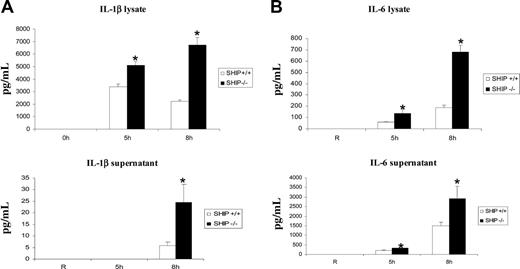 Figure 4. SHIP downregulates FcγR-induced production of IL-1β and IL-6. BMMs obtained from SHIP+/+ and SHIP–/– mice were stimulated for the time points indicated in the figure with heat-aggregated IgG. (A) The levels of IL-1β and (B) IL-6 in lysates and supernatants were measured by ELISA. The graphs represent the mean and SEM of values obtained from 3 independent experiments. Data were analyzed by Student t test (*P ≤ .05).