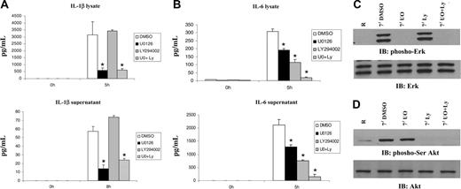 Figure 5. Differential requirement for the PI3K and Ras/MAPK pathways in FcγR-induced IL-1β and IL-6 production. BMMs were treated with Me2SO (DMSO) or 10 μM LY294002 or 2.5 μM UO126 for 30 minutes at 37°C prior to stimulation with heat-aggregated IgG. (A) The levels of IL-1β and (B) IL-6 in cell lysates and supernatants were measured by ELISA. The graphs represent the mean and SEM of 3 independent experiments. Data were analyzed by Student t test. *P ≤ .05. (C) Protein-matched lysates from unstimulated and stimulated cells (stimulated for 7 minutes) were analyzed by Western blotting with phospho-Erk antibody. The bottom panel is a reprobe of the same membrane with anti-Erk antibody. (D) Parallel samples were probed with anti-phospho Serine Akt antibody, and the membrane was reprobed with anti-Akt antibody (bottom panel).