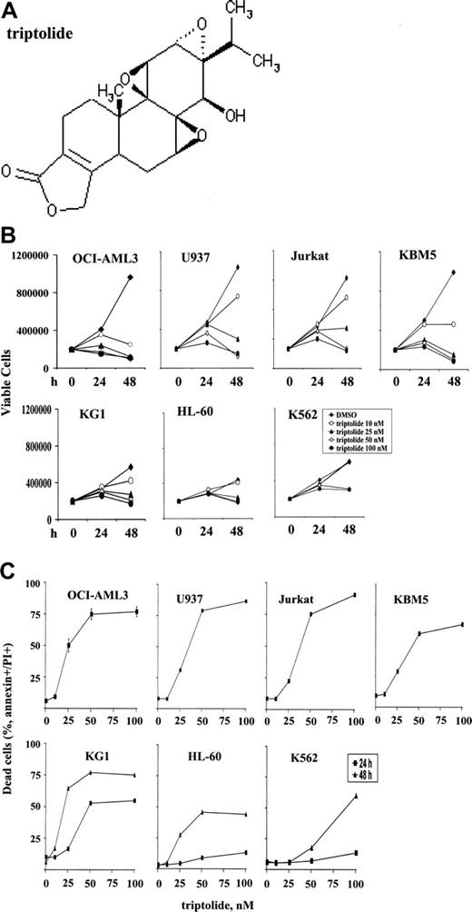 Figure 1. Triptolide induced significant cell growth arrest and cell death in leukemic cells. Cells at a density of 0.2 × 106/mL were treated with various concentrations of triptolide. (A) Structure of triptolide. (B) Viable leukemic cells treated with triptolide, as determined by trypan blue exclusion after 24 and 48 hours. (C) Cell death induced by triptolide in various leukemic cells, as determined by annexin V staining with PI after 24 or 48 hours of treatment.