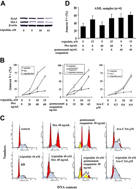 Figure 6. Effect of triptolide in combination with Dox, gemtuzumab ozogamicin, or Ara-C on cell death in AML cells. OCI-AML3 cells (0.2 × 106/mL) were treated with low concentrations of triptolide, Dox, gemtuzumab ozogamicin, Ara-C, or their combinations, as indicated, for 48 hours. (A) XIAP and Mcl-1 protein levels in OCI-AML3 cells treated with low concentrations of triptolide at 48 hours. (B) Cell viability determined by annexin V staining in OCI-AML3 cells treated with triptolide, Dox, gemtuzumab ozogamicin, Ara-C, or the combinations for 48 hours. (C) Cell cycle distribution of OCI-AML3 cells treated with triptolide, Dox, gemtuzumab ozogamicin, Ara-C, or their combinations at 48 hours, as shown by PI staining. (D) Blasts (1 × 106/mL) from patients with AML (n = 4) were treated with low concentrations of triptolide, Dox, gemtuzumab ozogamicin, or their combinations for 48 hours. Cell viability was determined by annexin V staining.