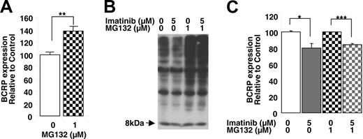 Figure 7. Role of proteasome on posttranscriptional downregulation of BCRP by imatinib. (A) Effects of the proteasomal inhibitor MG132 on cell surface BCRP expression. K562/BCRP-MX10 cells were treated with 1 μM MG132 for 8 hours and then BCRP expression was measured by binding of the 5D3 antibody, as determined by flow cytometry. Each bar represents the mean value with SEM of at least 3 individual experiments. **P < .01, Student t test. (B) Effectiveness of MG132 in causing proteasomal inhibition; effects of imatinib. K562/BCRP-MX10 cells in culture were exposed to the indicated concentrations of MG132 or imatinib for 8 hours. Then, the ubiquitination of proteins in total cell lysates was determined by Western blot, using rabbit polyclonal antibody to ubiquitin. The 8-kDa band represents free, unconjugated ubiquitin ligand. (C) Proteasomal inhibition does not block the down-regulation of BCRP by imatinib. K562/BCRP-MX10 cells in culture were exposed to the indicated concentrations of MG132 or imatinib for 8 hours. Then, BCRP expression was measured by flow cytometry as in panel A. Each bar represents the mean value with SEM of at least 3 individual experiments. *P < .05, ***P < .001 by Student t test.