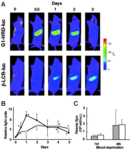 Figure 3. Delayed induction of Hbb-LCR-luc compared with G1-HRD-luc in response to anemia. (A) Bioluminescent images of G1-HRD-luc (top panels) and Hbb-LCR-luc (bottom panels) mice after 4 serial blood deprivations with 12-hour intervals. The day 0 image was taken before phlebotomy. (B) Average change in photon output from areas including the spleen of G1-HRD-luc (▴) and Hbb-LCR-luc (⋄) mice. Four to 6 mice were examined in each group. The intensity of the bioluminescent signal of day 0 was set to 1. Error bars indicate SD. *P < .05 compared with day 0. (C) EPO concentrations in the plasma of G1-HRD-luc (▦) and Hbb-LCR-luc mice (□) on the first and fourth blood deprivation (n = 6 in each group). Error bars indicate SD.