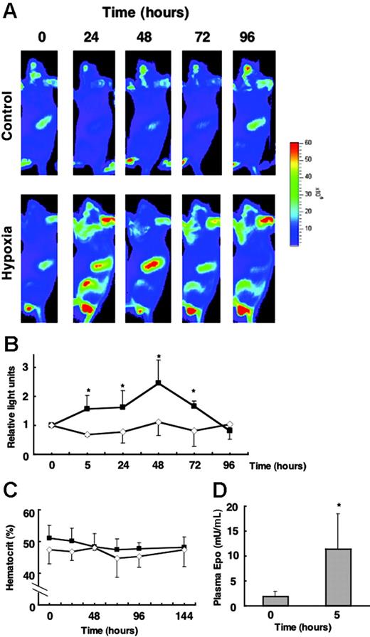 Figure 5. G1-HRD-luc expression in response to hypoxic exposure. (A) G1-HRD-luc mice were exposed to 6% oxygen for 4 hours and then returned to room air. Bioluminescent images were taken from 5 to 96 hours after hypoxic exposure began. The 0-hour image was taken just before exposure to hypoxia. Bioluminescent images overlaid with photographs of the lateral view are shown. (B) Average change in photon output from spleens exposed to hypoxia (▴,n = 4) and normoxia (⋄,n = 4). G1-HRD-luc activity in the spleen before the hypoxic exposure (0 hour) was set to 1. (C) Average change in the hematocrit of hypoxia-exposed (▴, n = 6) and normoxiaexposed (⋄,n = 4) mice. (D) EPO concentrations in the plasma before (0 hours) and 5 hours after hypoxic exposure (0 hours, n = 3; 5 hours, n = 4). Error bars indicate SD. *P < .05 compared with untreated control.
