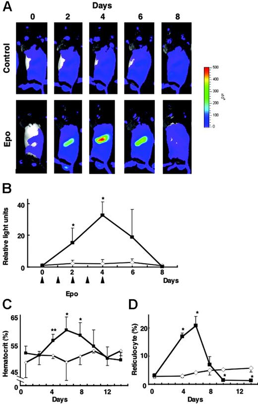 Figure 6. G1-HRD-luc activity during EPO treatment. (A) Serial imaging of G1-HRD-luc during EPO treatment. Mice were treated with EPO or saline for 5 consecutive days. Bioluminescent images were taken from mice treated with EPO (bottom panels) or saline (top panels) for 8 consecutive days. (B-D) Changes in G1-HRD-luc activity (B), hematocrit (C), and reticulocyte counts (D) in EPO-treated (▴) or saline-treated (⋄) spleens (n = 3 in each group) over a period of days. G1-HRD-luc activity on day 0 was set to 1 in each group. Error bars indicate SD. *P < .05 and **P < .01 compared with untreated control.