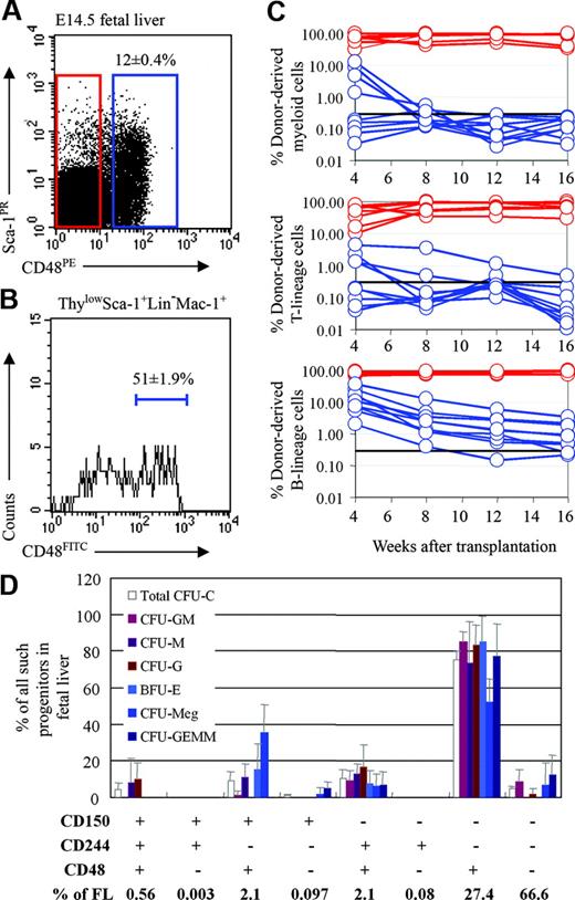 Figure 1. HSCs are contained within the CD48– fraction while colony-forming progenitors are almost entirely in the CD48+ fraction of fetal liver cells. (A) Twelve percent of fetal liver cells expressed CD48. (B) CD48 expression was heterogeneous in the ThylowSca-1+lineage–Mac-1+ HSC population, with 51% of cells being CD48+. For this analysis CD48, Thy-1, Sca-1, lineage marker, and Mac-1 staining were detected in the FITC, PE-Cy5, APC-Cy7 (PR), PE, and APC channels, respectively. (C) Recipient mice received transplants of 5750 CD48+ fetal liver cells (blue lines) or 44 250 CD48– fetal liver cells (red lines). Cell doses were based on the proportion of CD48+ versus CD48– cells in 50 000 fetal liver cells (which gives long-term multilineage reconstitution in nearly all recipient mice), as done in previous studies of marker expression by HSCs.6,14,24,26 Each line represents the frequency of donor-derived myeloid, B, or T cells in a single mouse. The black line at 0.3% represents the background threshold, meaning that reconstitution could not be detected in mice falling below this line. All long-term multilineage reconstituting activity was contained within the CD48– cell fraction (7 of 7 mice). CD48+ cells gave transient multilineage reconstitution (4 of 9 mice) or B-lineage-only reconstitution (5 of 9 mice). Data are from 1 of 2 independent experiments that gave similar results. (D) Fetal liver cells were divided based on their expression of all possible combinations of the CD48, CD244, and CD150 SLAM family receptors and sorted into methylcellulose to measure colony-forming activity. Each bar represents the percentage of all colony-forming progenitors of each type that fell within the indicated cell fraction. For example, around 80% of all CFU-GM, CFU-G, and CFU-M in the fetal liver fell within the CD48+CD244–CD150– cell population. Error bars indicate SD.